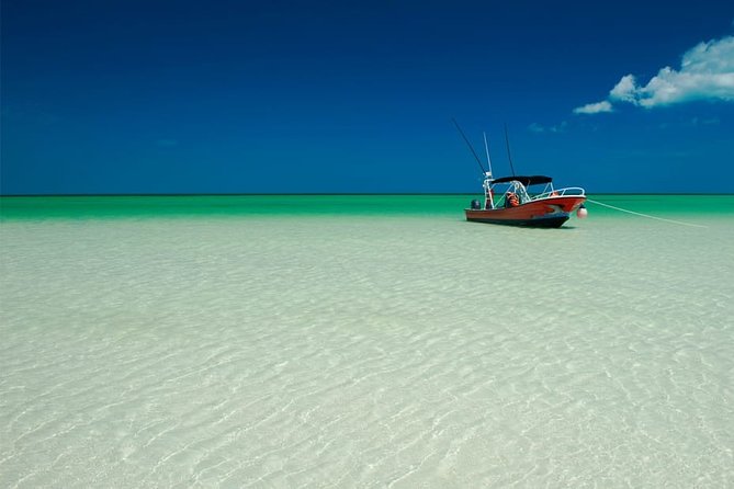 Holbox Island Full Day Trip with Lunch From Playa del Carmen - Isla Pasión: beautiful views, mosquitoes, and swimwear reality