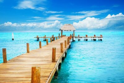 Holbox Island Full Day Trip with Lunch From Playa del Carmen - Yum Balam Nature Reserve: birds, lagoons, and a boat you should plan for