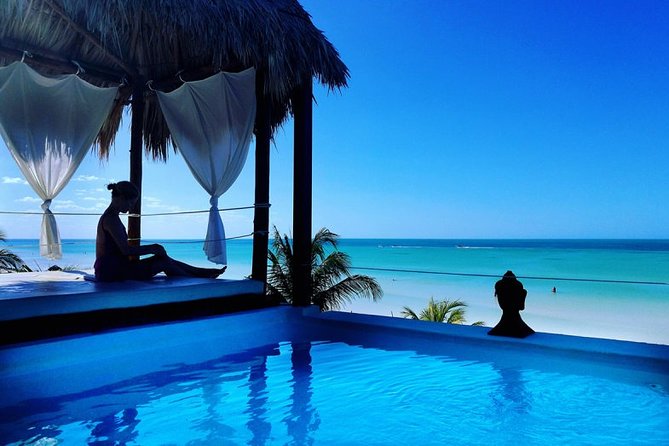 Holbox Island Full Day Trip with Lunch From Playa del Carmen - Transportation: air-conditioning helps, but the road time is real