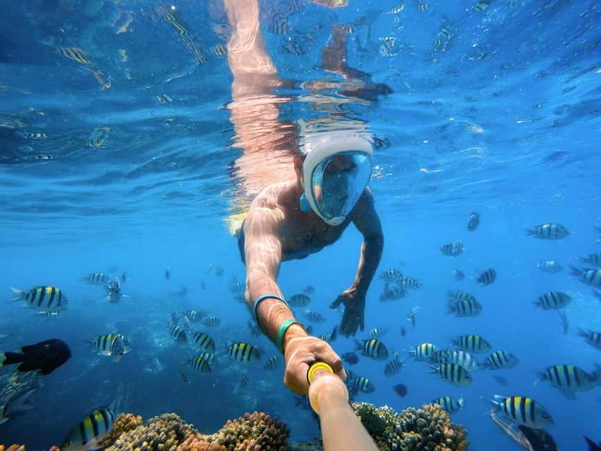 Hurghada: Orange Bay Day Trip with Water Sports and Lunch - Orange Bay Island Time: White Sand, Sea Swings, and Real Downtime