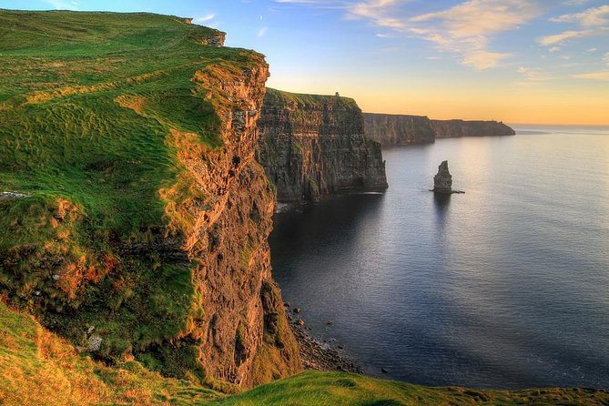 Independent Cliffs of Moher Half Day Trip from Galway - What to look for at 750+ feet up: wildlife and the Burren edge