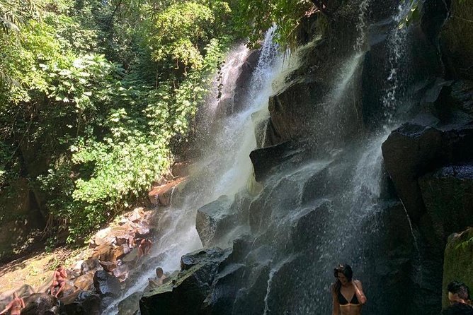 Individual Bali Day Trip with Private Driver and Free WiFi - Inland stops around Ubud: markets, rice terraces, and holy spring water