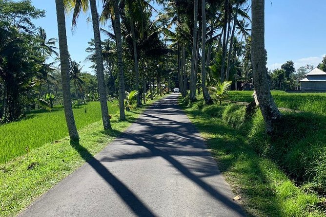Individual Bali Day Trip with Private Driver and Free WiFi - North and East Bali: lakes, “iconic gate” photos, and UNESCO rice fields