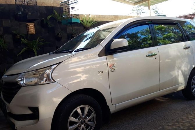 Individual Bali Day Trip with Private Driver and Free WiFi - West-to-south “icon” stops: Tanah Lot, Batu Bolong, and Seminyak to Canggu