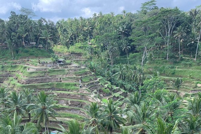 Individual Bali Day Trip with Private Driver and Free WiFi - Sanur and Ubud markets: free local time pockets