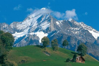 Interlaken and Grindelwald Day Trip from Lucerne - Interlaken Free Time: Enough Time to Enjoy Views and Pick a Pace