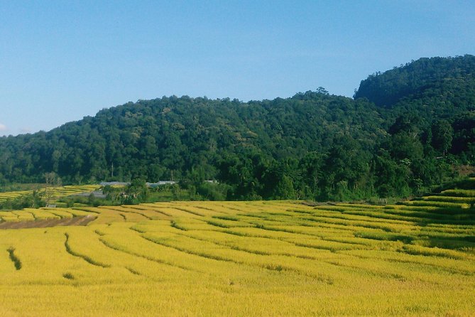 Inthanon Day Trip from Chiang Mai with Lunch - Group or Private - From Chiang Mai to Thailand’s highest point: how the day runs