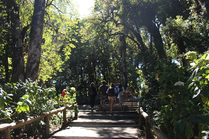 Inthanon Day Trip from Chiang Mai with Lunch - Group or Private - What you actually get for $81.53: price and included value