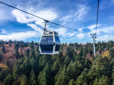 Istanbul: Bursa and Uludag Full-Day Trip with Cable Car Ride - Inkaya Tree: the quick stop with local symbolism