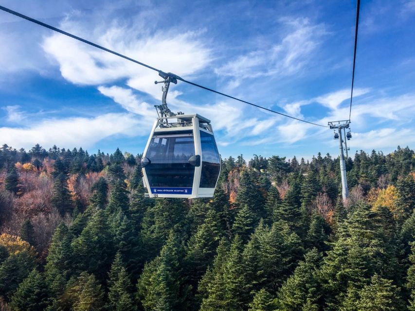 Istanbul: Bursa and Uludag Full-Day Trip with Cable Car Ride - Inkaya Tree: the quick stop with local symbolism