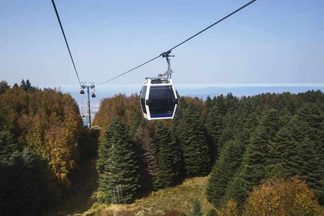 Istanbul: Bursa and Uludag Mountain Day Trip with Cable Car - Lunch on Uludāğ: BBQ With Soft Drink, Plus the Add-On Question