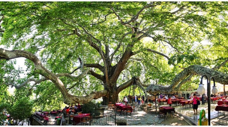 Istanbul: Bursa & Uludag Mountain Day Trip w/ Opt. Cable Car - Quick hits you’ll feel right away