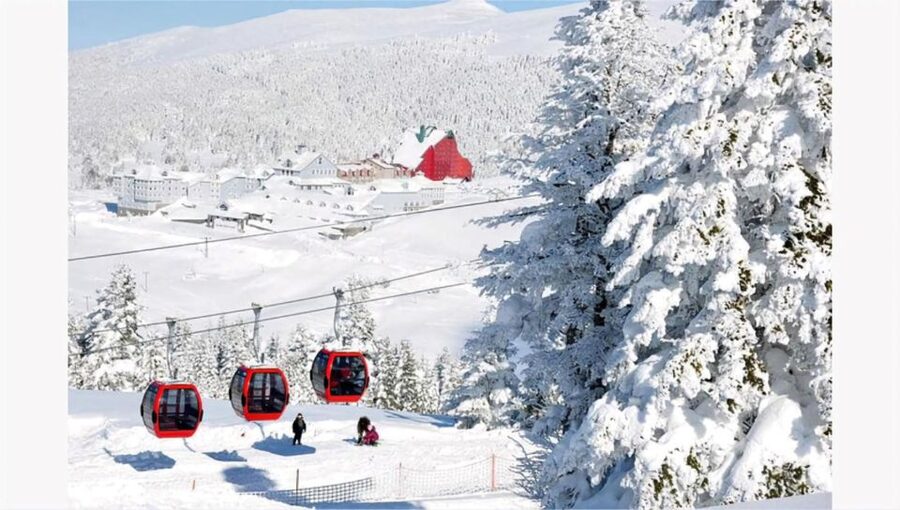 Istanbul: Bursa & Uludag Mountain Day Trip w/ Opt. Cable Car - Price and value: is $31 a bargain or a trade-off?