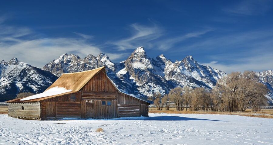 Jackson: Grand Teton and National Elk Refuge Winter Day Trip - Winter wildlife viewing that actually works (Grand Teton first)