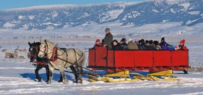 Jackson: Grand Teton and National Elk Refuge Winter Day Trip - The heated ride: your comfort strategy for cold-weather wildlife