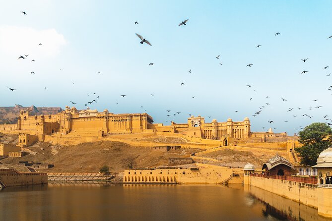Jaipur Pink City Private Day Trip from Delhi with transfer - Jaipur from Delhi: why the private transfer model works