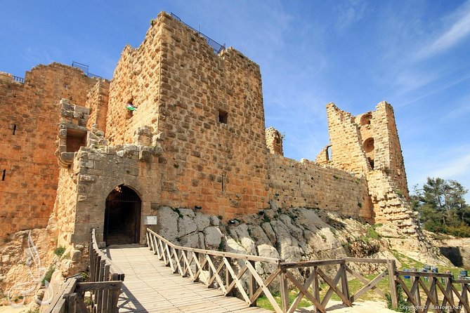 Jerash, Ajloun, Umm Qais Day Trip - Jerash Ruins: colonnaded streets, Hadrian’s Arch, and major plazas