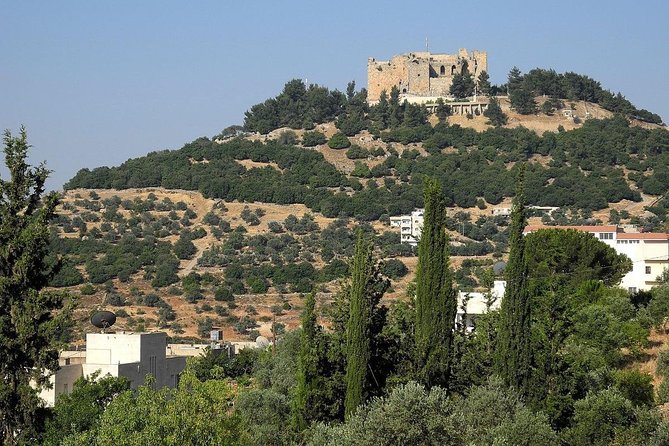 Jerash, Ajloun, Umm Qais Day Trip - Price and value: $62 buys a lot of logistics handled for you