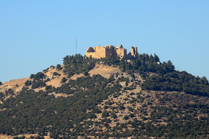 Jerash, Ajloun, Umm Qais Day Trip - Timing and pacing: how this day stays from feeling rushed