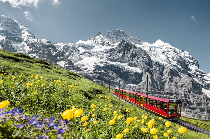 Jungfraujoch: Top of Europe Day Trip from Zurich - Top of Europe from Zurich: the best way to do Jungfraujoch in one day