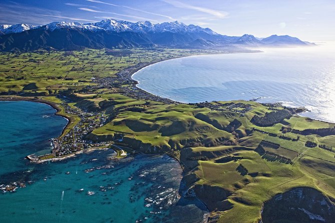 Kaikoura Whale Watch Day Tour from Christchurch - Key things I’d look forward to