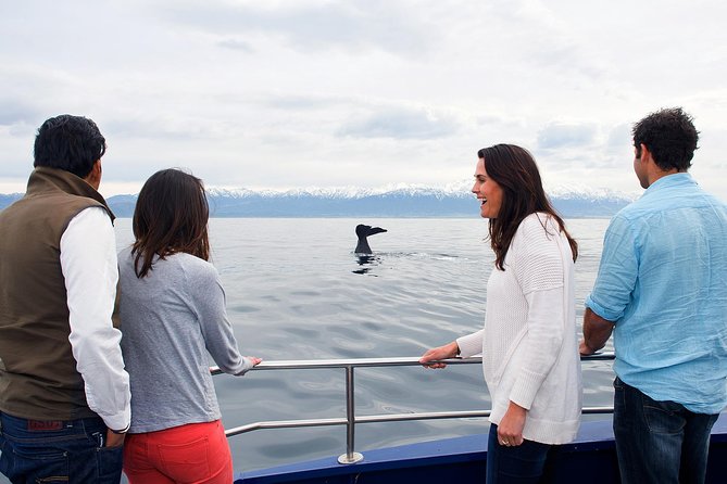 Kaikoura Whale Watch Day Tour from Christchurch - Stop at Kaikoura and the on-the-ground rhythm before the water