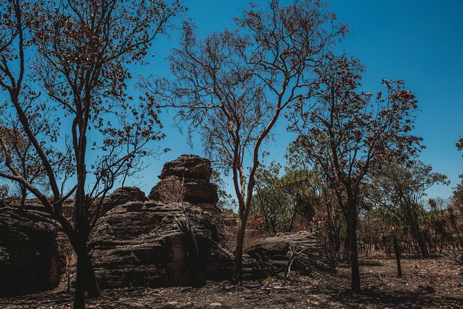 Kakadu Day Tour from Darwin with Offroad Dreaming - Guluyambi cultural cruise on the East Alligator River: calm water, big learning