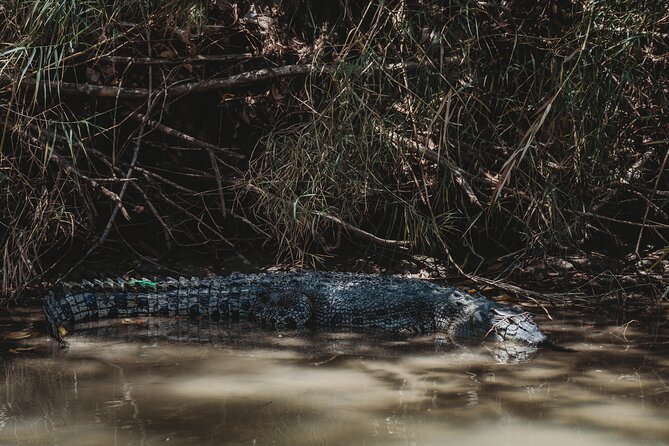 Kakadu Day Tour from Darwin with Offroad Dreaming - Lunch, snacks, iced water: the comfort that keeps you sane