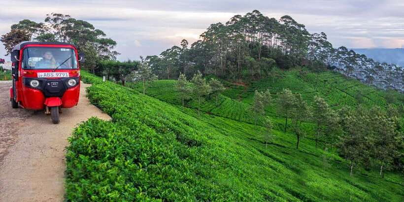 Kandy: Nuwara Eliya Day Trip - Kandy to Nuwara Eliya in 10 hours: the day is really about climate shifts
