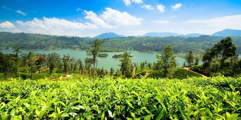 Kandy: Nuwara Eliya Day Trip - Seetha Amman Hindu Temple + Hakgala Botanical Garden: culture and cool air