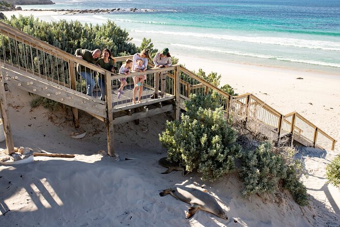 Kangaroo Island in a Day Tour from Adelaide - Price and what you’re really paying for