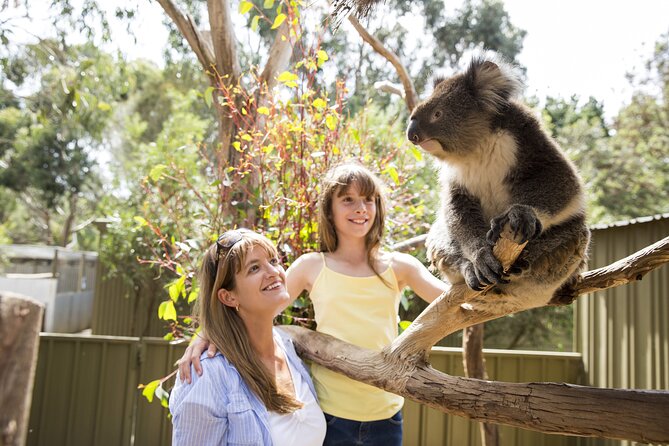 Kangaroo Island in a Day Tour from Adelaide - Who should book this Kangaroo Island day tour?