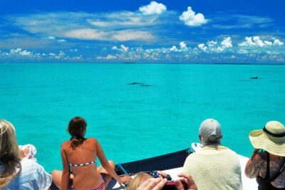 Key West Day Trip from Miami with Activities - The Ride From Miami: Seven Mile Bridge and More Than 40 Bridges