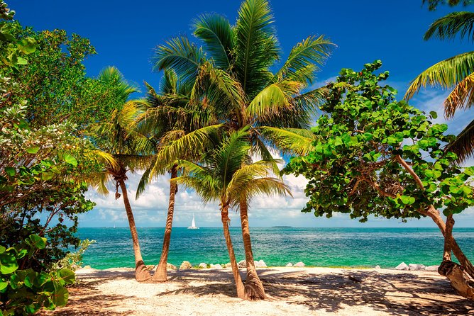 Key West Day Trip from Miami with Activities - Comfort Matters: AC, Seating, and the Realities of a 15-Hour Day