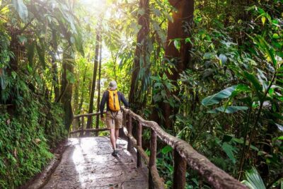 Khao Yai National Park Full-Day From Bangkok - Including Ticket - The jungle walk inside Khao Yai National Park: what you’ll really see