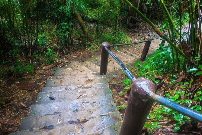 Khao Yai National Park Full-Day From Bangkok - Including Ticket - Haew Narok Waterfall: the star falls, three tiers, and water levels