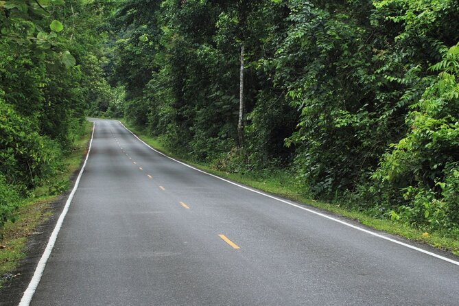 Khao Yai National Park Full-Day From Bangkok - Including Ticket - Your guide and small-group rhythm: what makes the day work