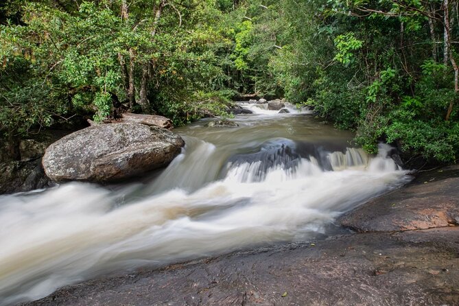 Khao Yai National Park Full-Day From Bangkok - Including Ticket - Lunch and food reality inside the park
