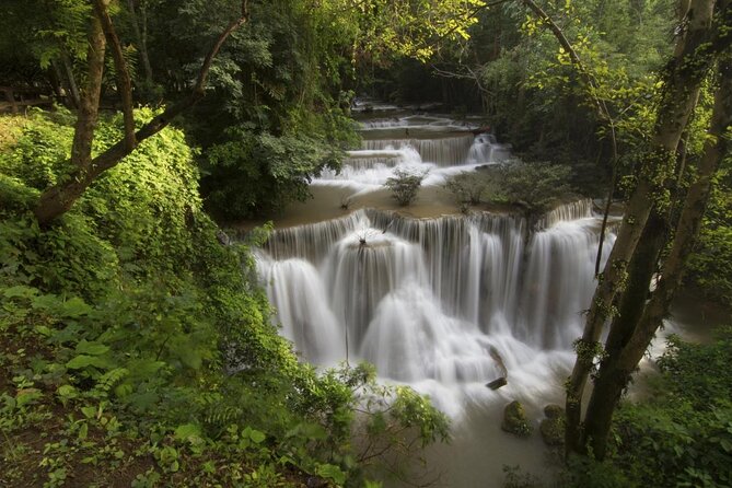 Khao Yai National Park Full-Day From Bangkok - Including Ticket - Wildlife expectations: plan for luck, not guarantees