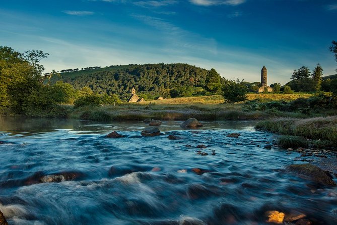 Kilkenny, Wicklow Mountains & Glendalough Day Tour from Dublin - Sheep farm in the Wicklow foothills: where the day turns personal