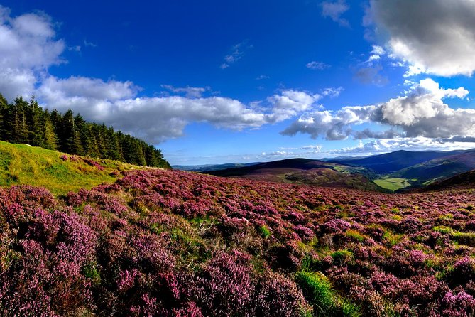 Kilkenny, Wicklow Mountains & Glendalough Day Tour from Dublin - Return to Dublin: plan an easy evening after the 10-hour loop
