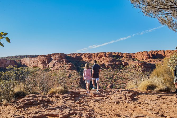 Kings Canyon Day Trip from Ayers Rock (Uluru) - Kings Canyon Resort lunch and pool time: how to use your hour