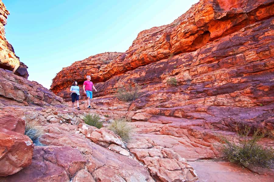 Kings Canyon: Full-Day Tour from Ayers Rock Resort - Key Things You’ll Notice on This Kings Canyon Day