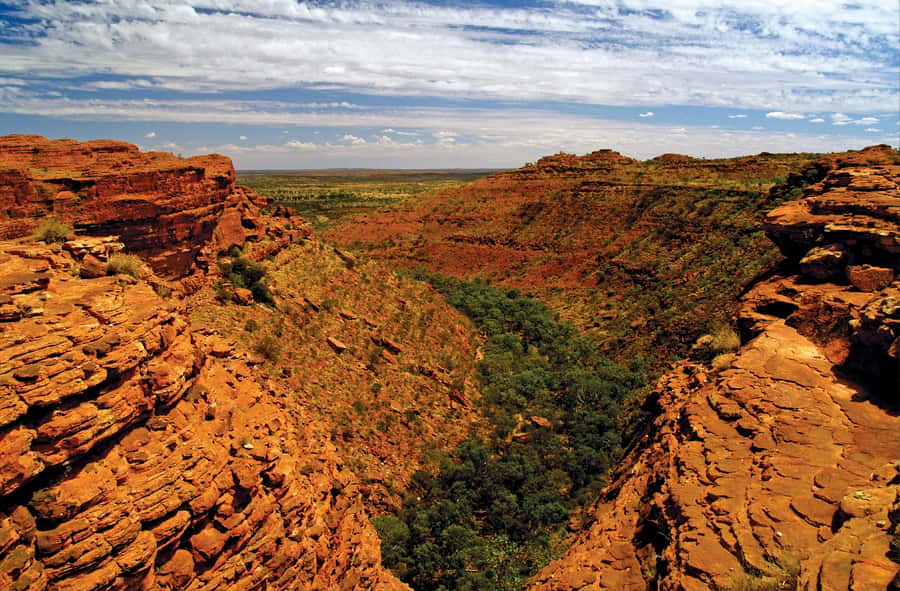Kings Canyon: Full-Day Tour from Ayers Rock Resort - Price and Logistics: What $244 Gets You (and What It Doesn’t)