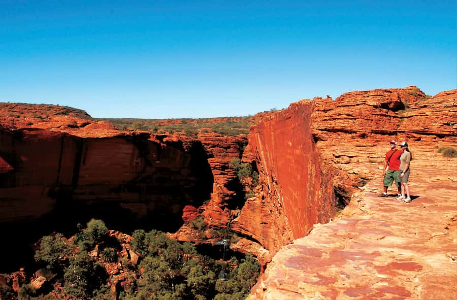 Kings Canyon: Full-Day Tour from Ayers Rock Resort - Getting to Kings Canyon: The Drive You’ll Feel, and How to Handle It