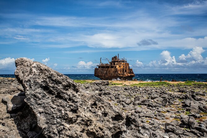 Klein Curacao Day Trip with Premium Open Bar and BBQ-Lunch - Snorkeling at Klein: What You’ll See and What to Manage