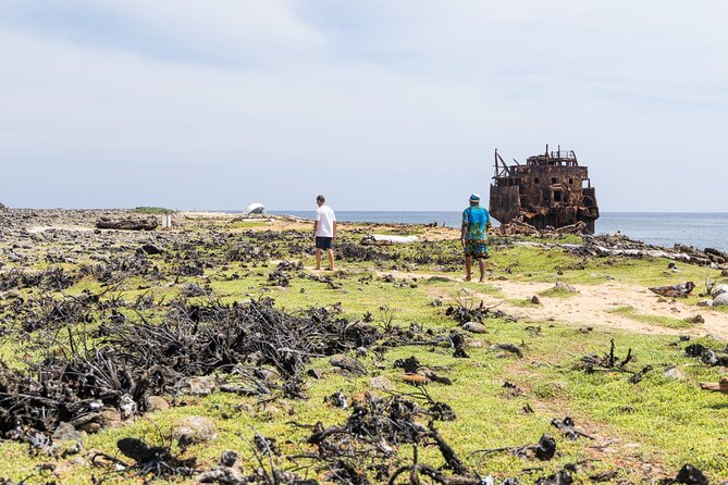 Klein Curacao Day Trip with Premium Open Bar and BBQ-Lunch - Sea Turtles, Reef Fish, and the Best Time to Wander