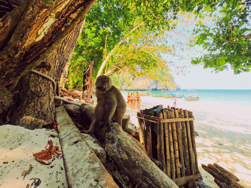 Ko Lanta: Phi Phi Day Trip by Speed Boat - Price and value: what $55 buys (and what’s extra)