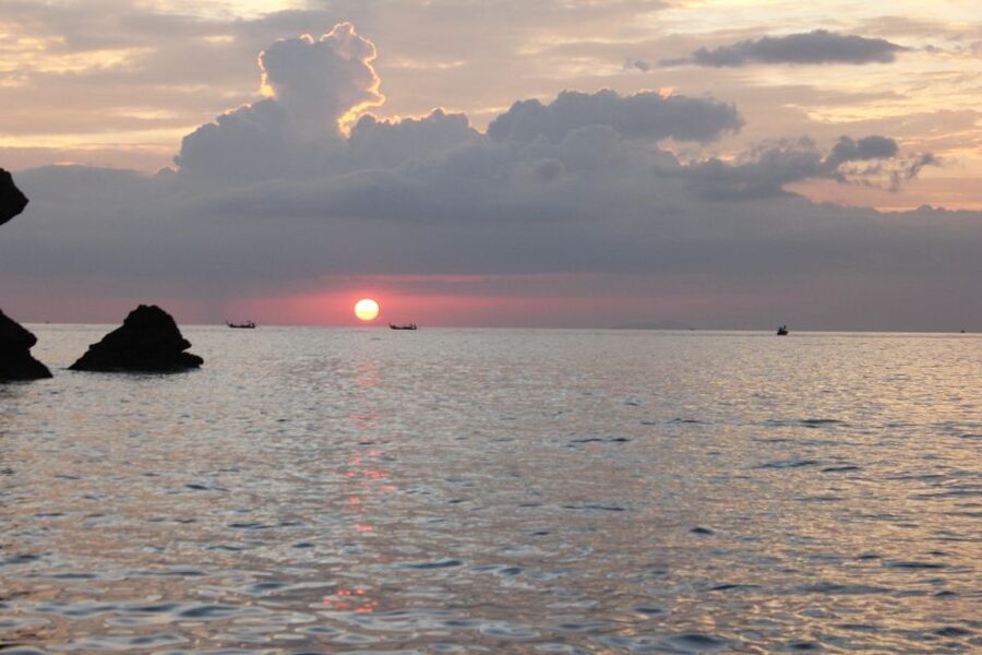 Ko Phi Phi Don: Speedboat Day Trip with Shark Snorkeling - Price and Value: Is $48 Worth It for 5 Hours?