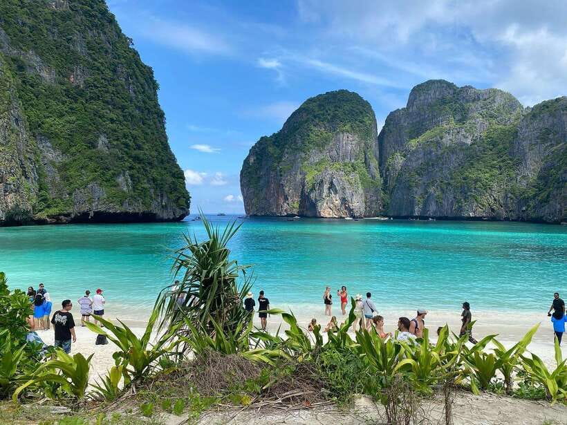 Ko Phi Phi Don: Speedboat Day Trip with Shark Snorkeling - Sunset on the Waves + Night Plankton: Where the Day Turns Magical